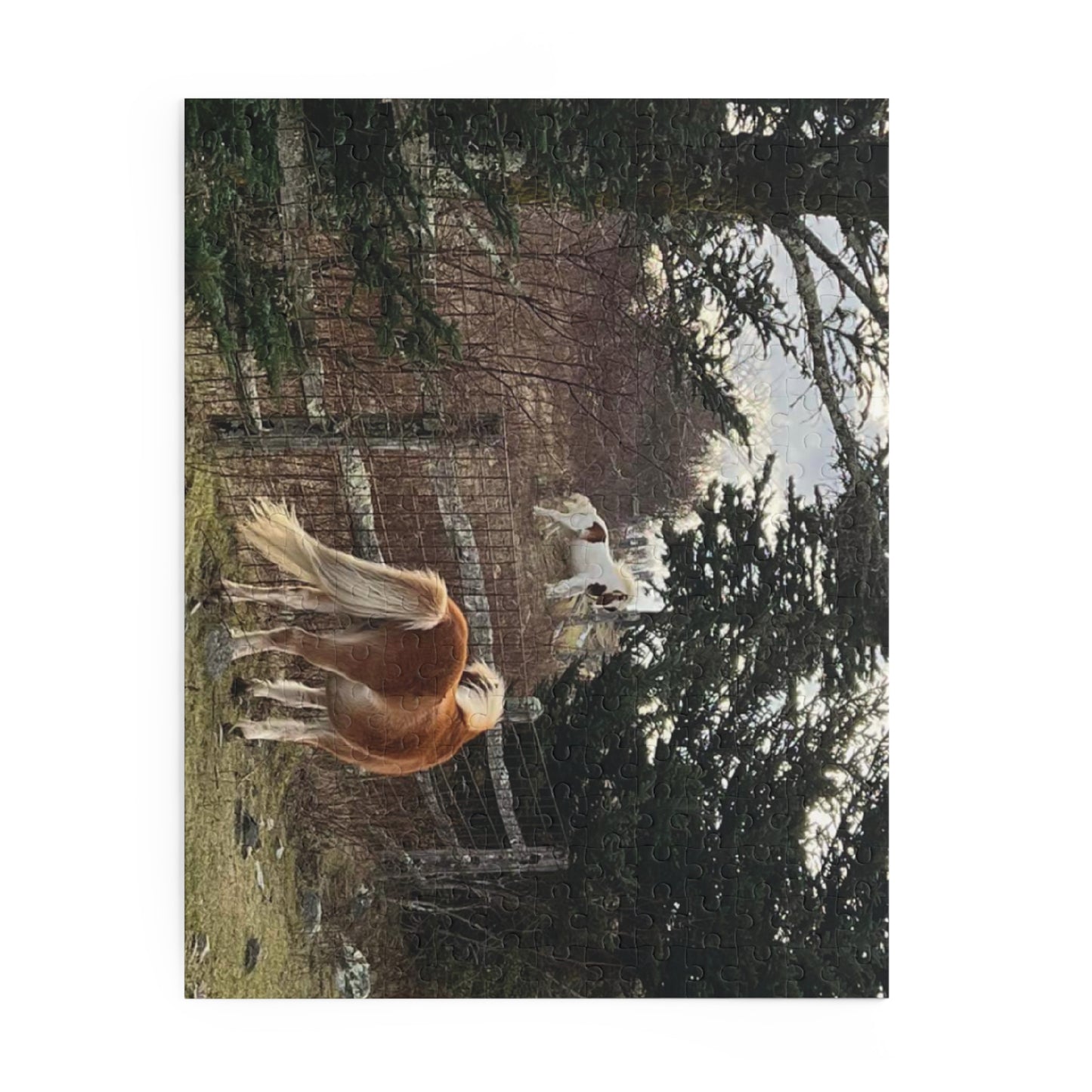 Horse Pasture Jigsaw Puzzle — Scenic Foals in Woodland (120/252/500 pc)