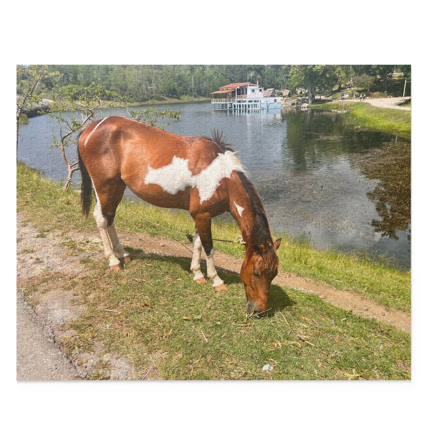 Horse by Lake Jigsaw Puzzle — Scenic Grazing Horse Puzzle (120/252/500-Piece)