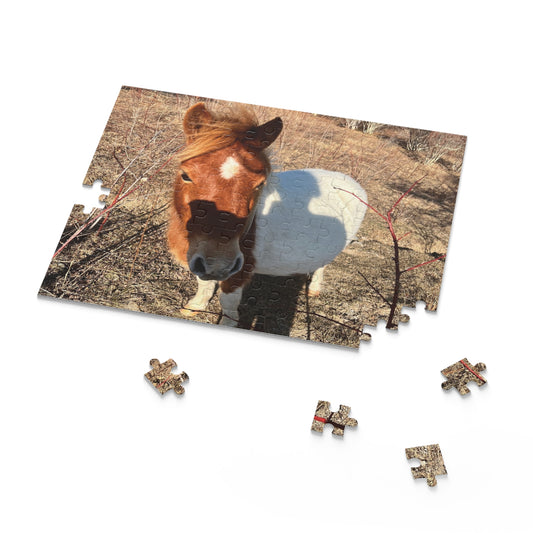 Horse Photo Puzzle - Cute Pony Jigsaw Puzzle (120/252/500 Piece)
