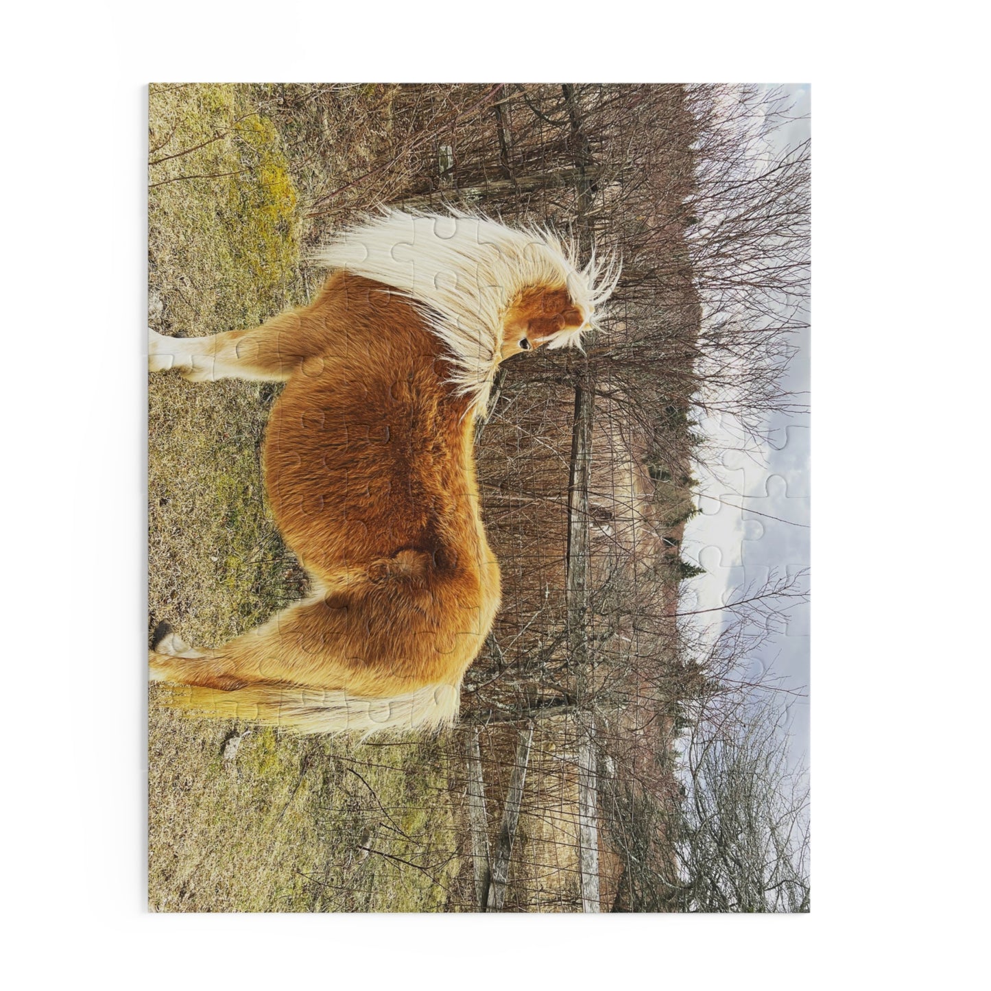 Pony Portrait Puzzle — Scenic Brown Shetland Horse Jigsaw (120/252/500-Piece)