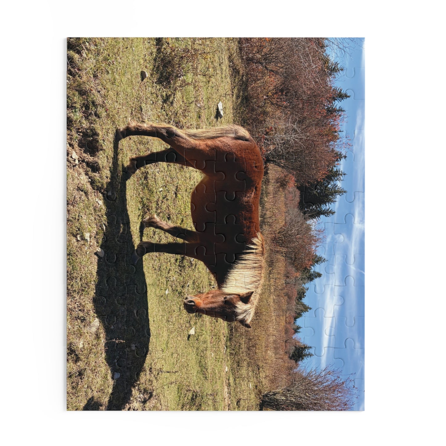 Wild Pony Meadow Puzzle — Scenic Horse Jigsaw (120/252/500 Piece)