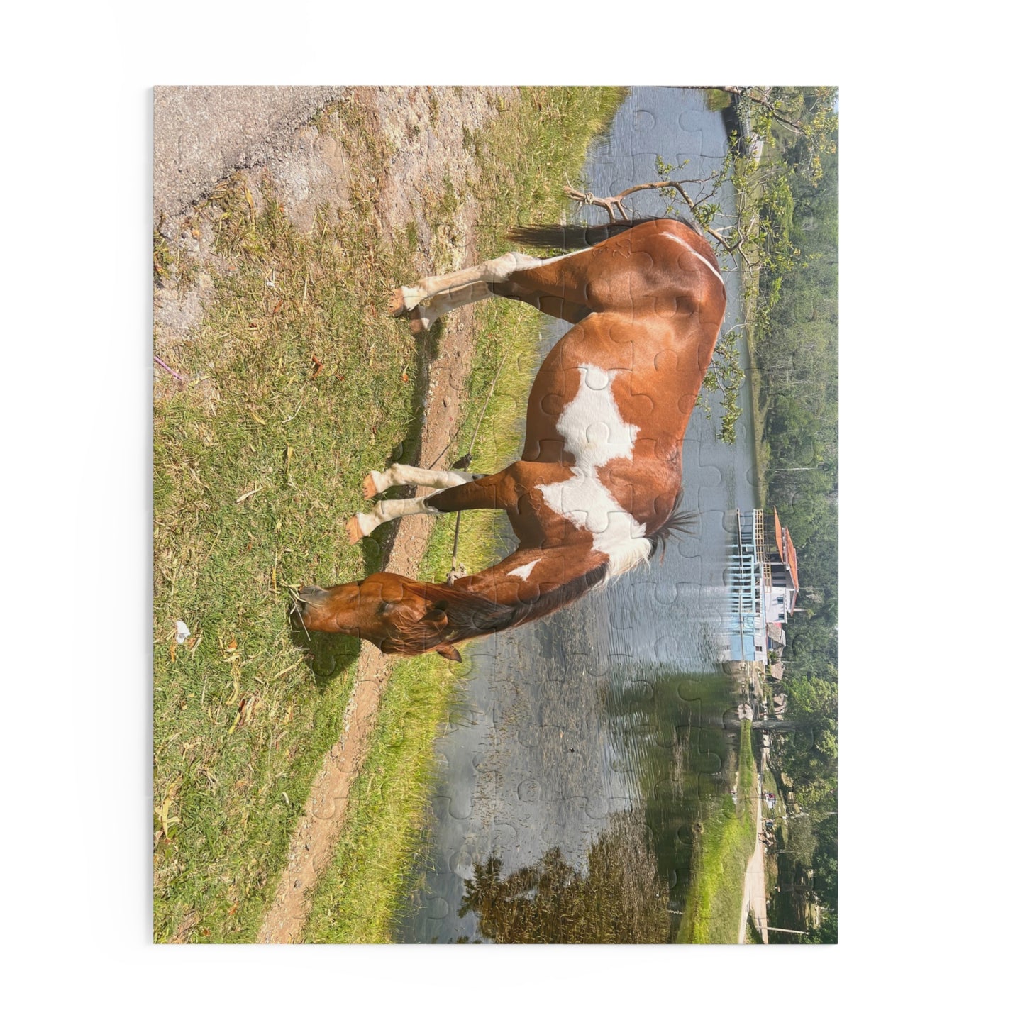 Horse by Lake Jigsaw Puzzle — Scenic Grazing Horse Puzzle (120/252/500-Piece)