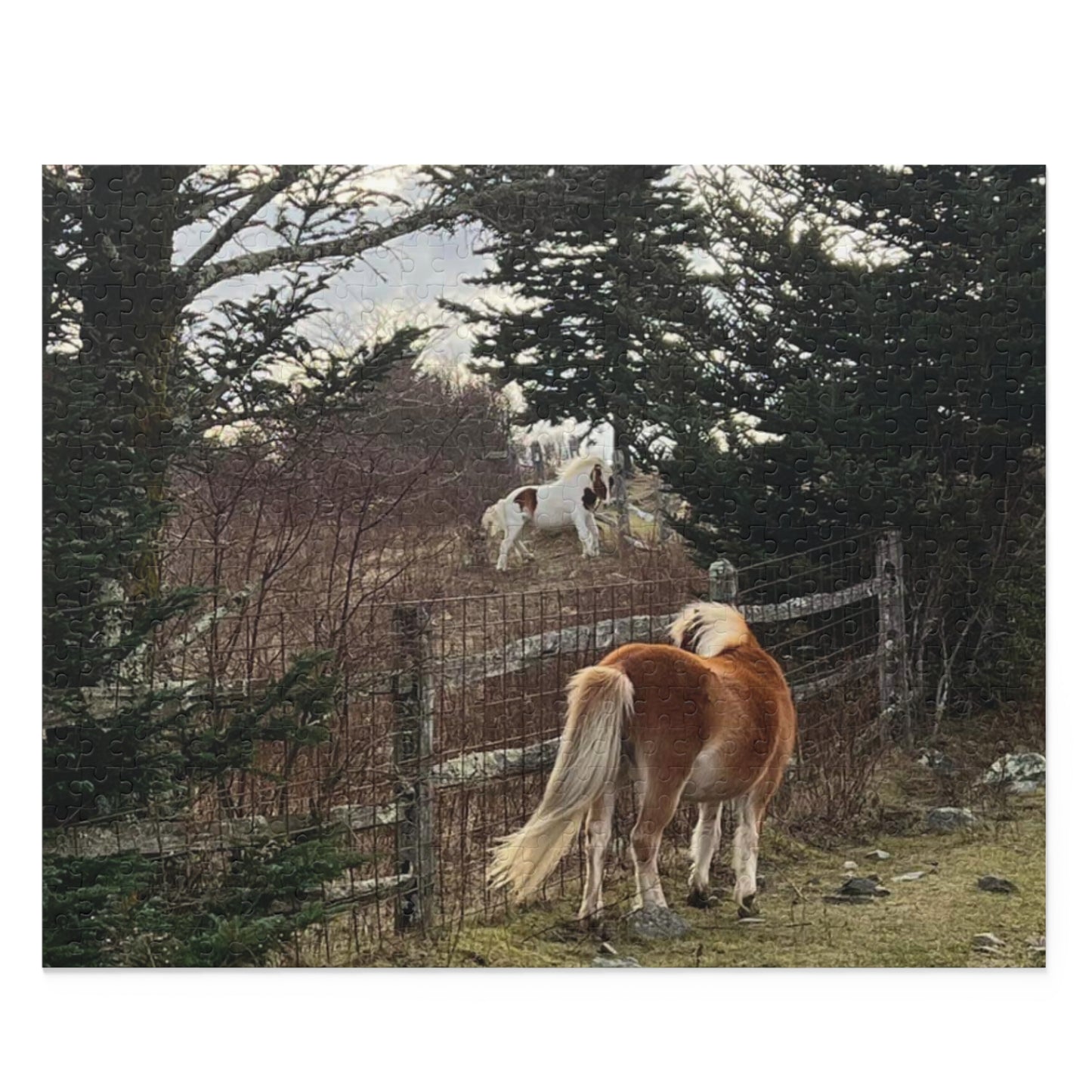 Horse Pasture Jigsaw Puzzle — Scenic Foals in Woodland (120/252/500 pc)