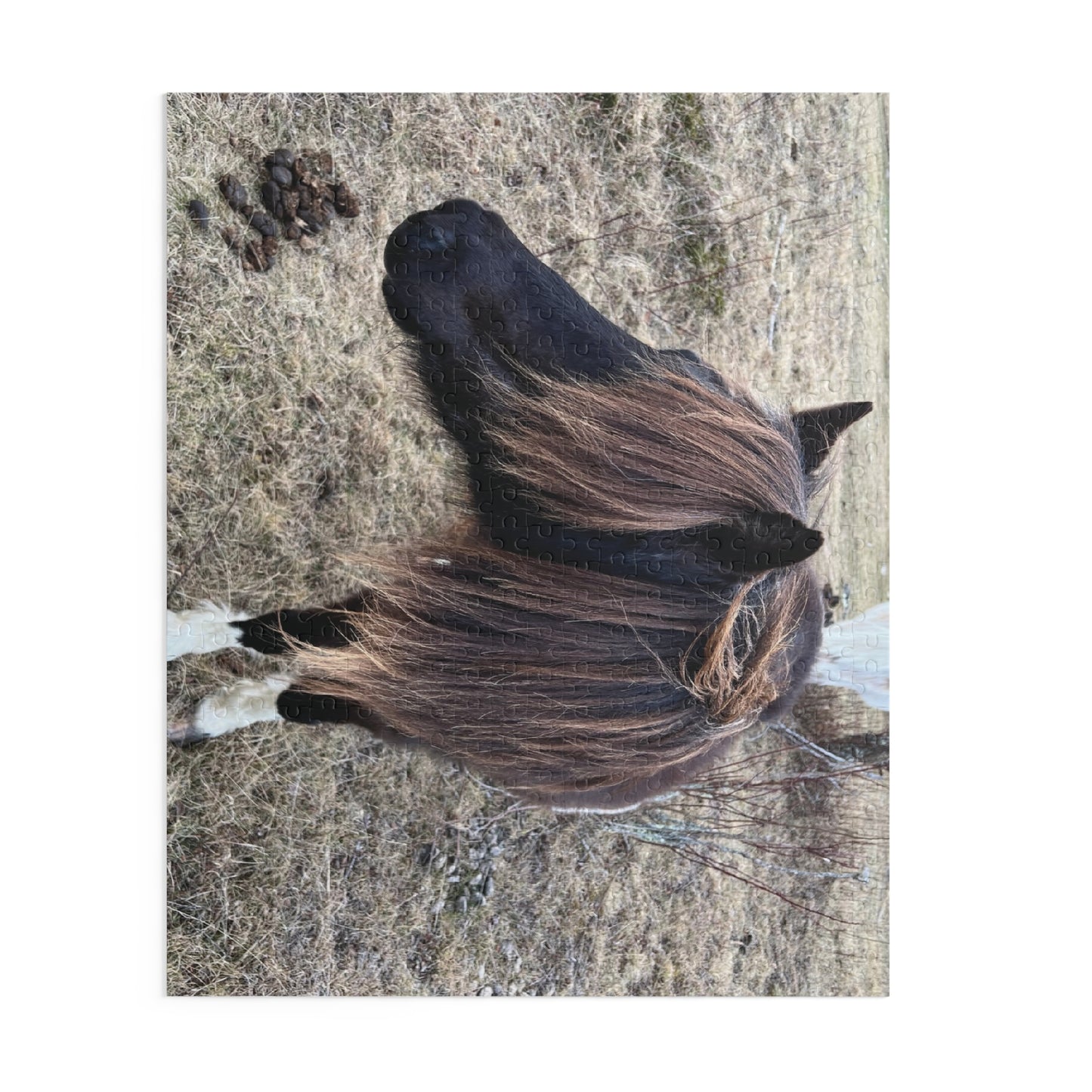 Horse Portrait Puzzle – Brown Pony Photo Jigsaw (120/252/500 Piece)