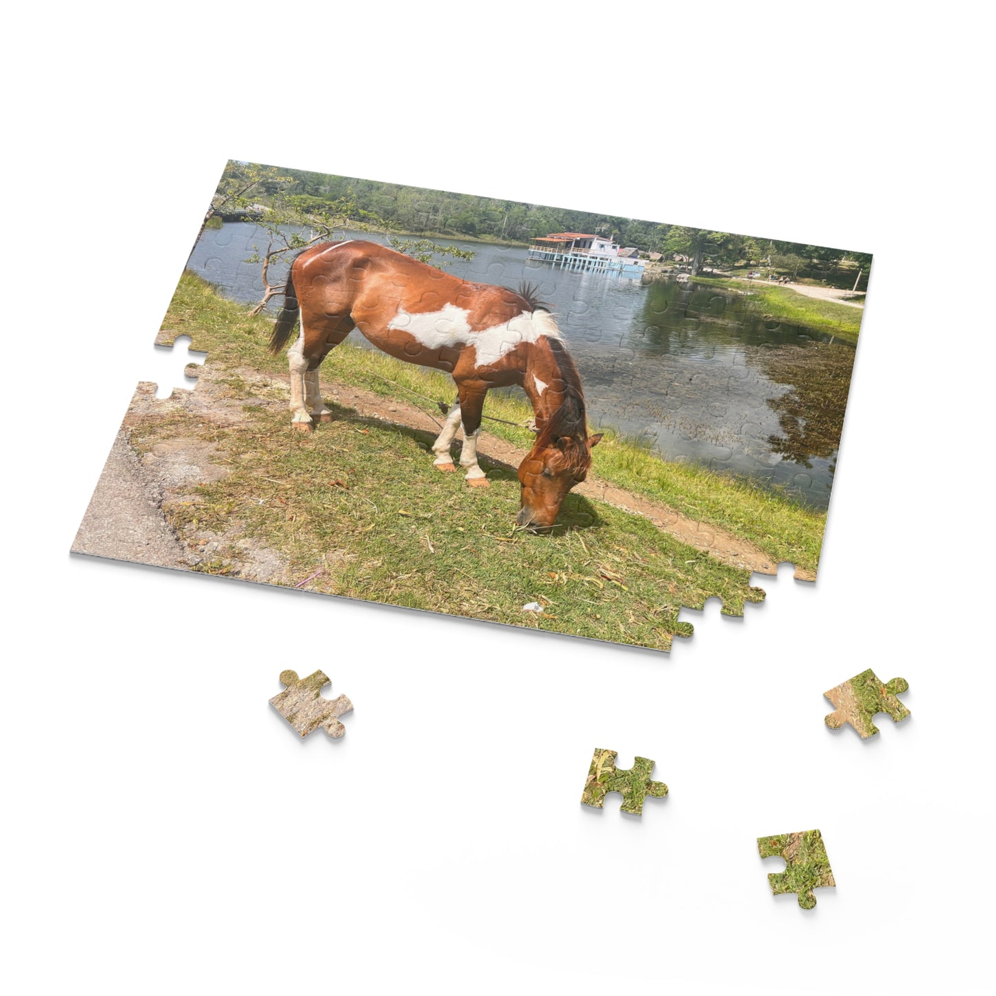 Horse by Lake Jigsaw Puzzle — Scenic Grazing Horse Puzzle (120/252/500-Piece)