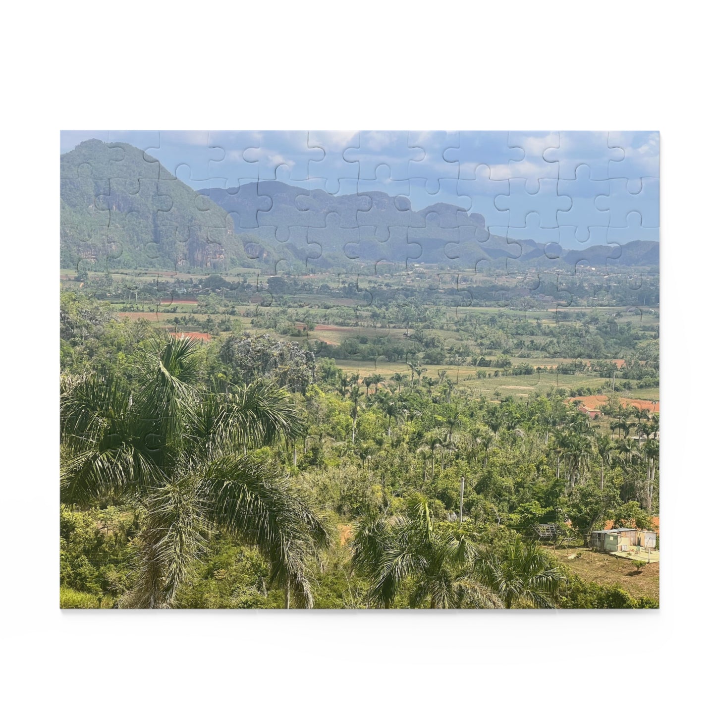 Tropical Valley Landscape Jigsaw Puzzle — Scenic 120/252/500-Piece Jigsaw