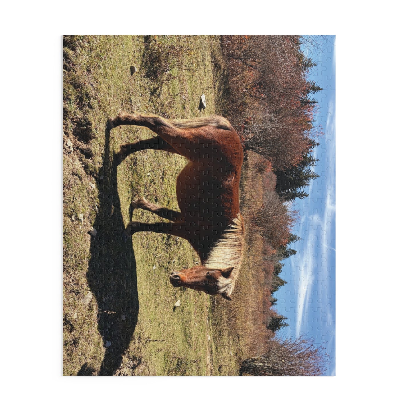 Wild Pony Meadow Puzzle — Scenic Horse Jigsaw (120/252/500 Piece)