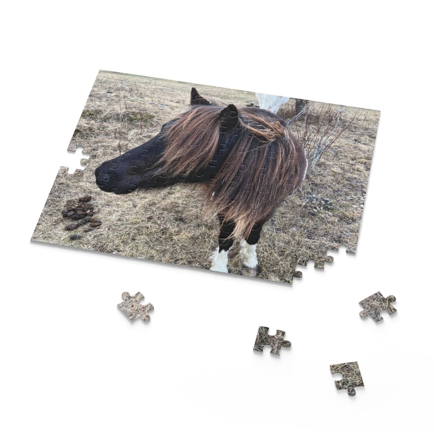 Horse Portrait Puzzle – Brown Pony Photo Jigsaw (120/252/500 Piece)