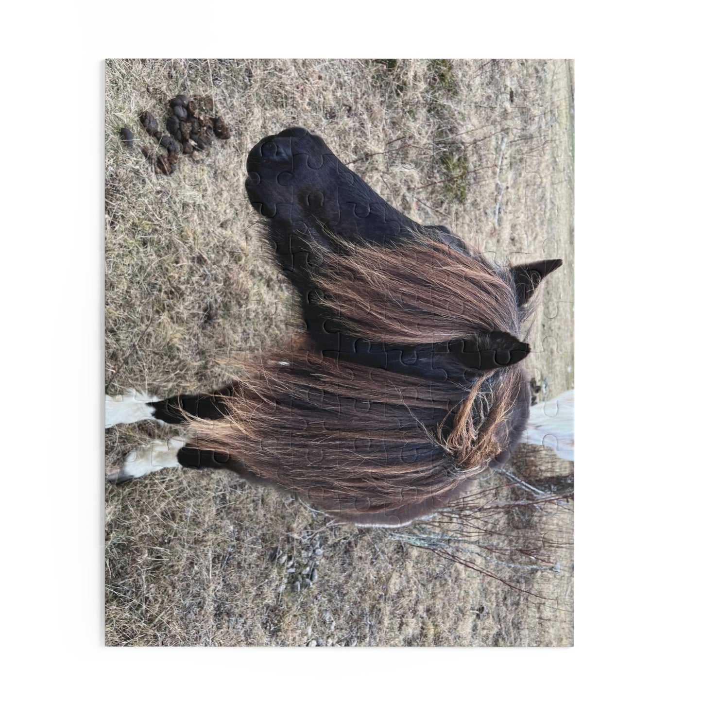 Horse Portrait Puzzle – Brown Pony Photo Jigsaw (120/252/500 Piece)