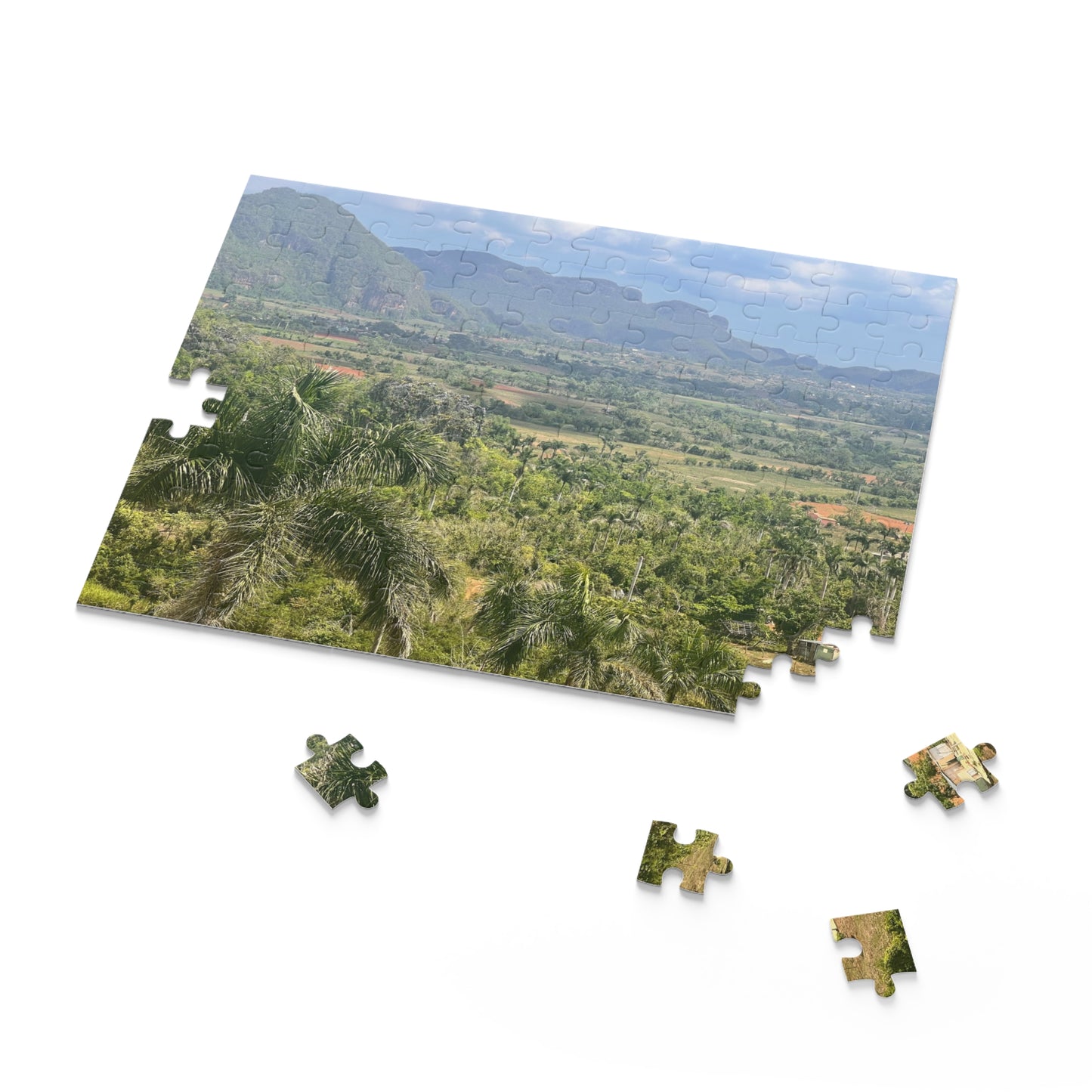 Tropical Valley Landscape Jigsaw Puzzle — Scenic 120/252/500-Piece Jigsaw