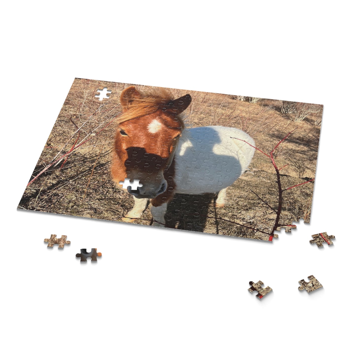 Horse Photo Puzzle - Cute Pony Jigsaw Puzzle (120/252/500 Piece)