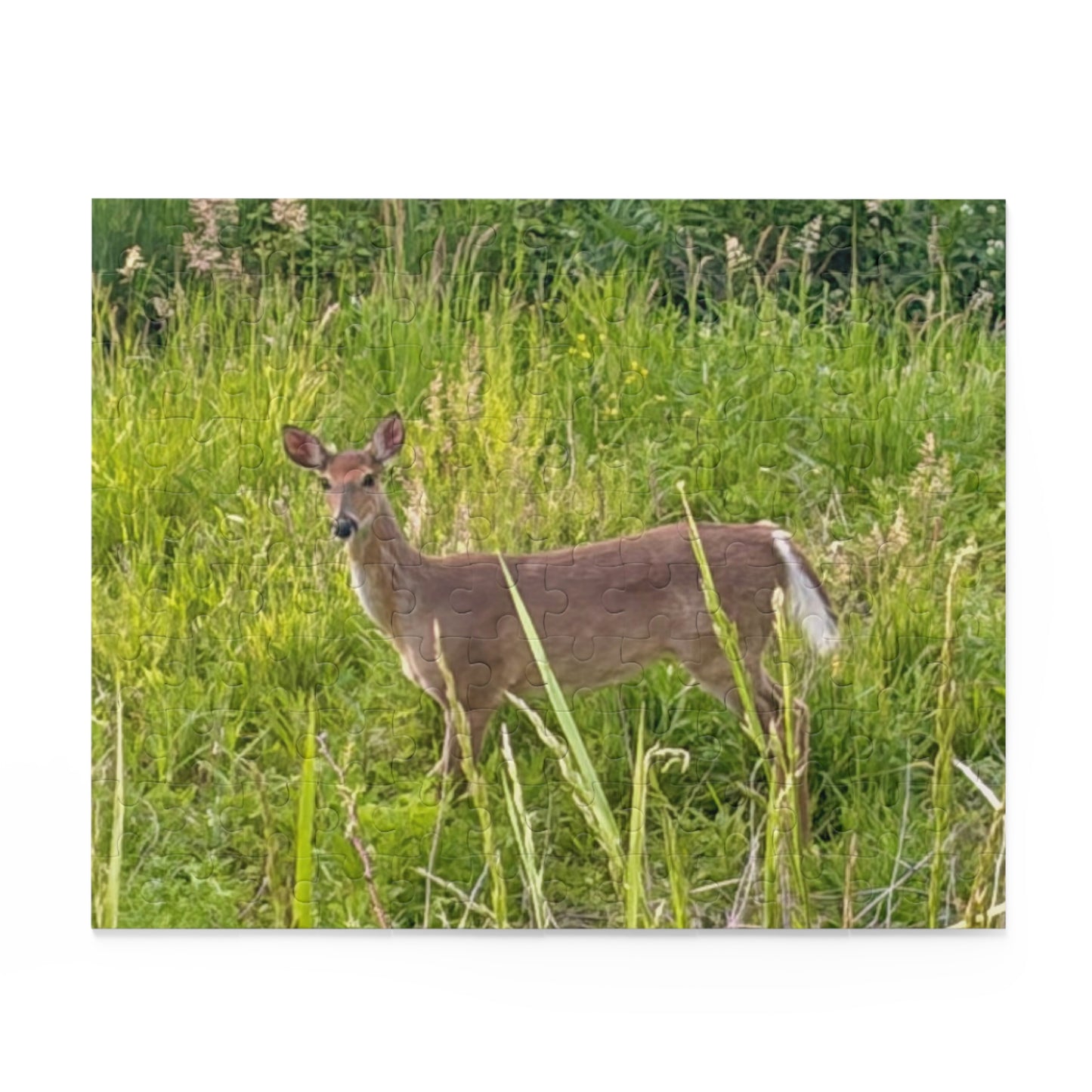 White-Tailed Deer Nature Puzzle — 120/252/500-Piece Wildlife Jigsaw