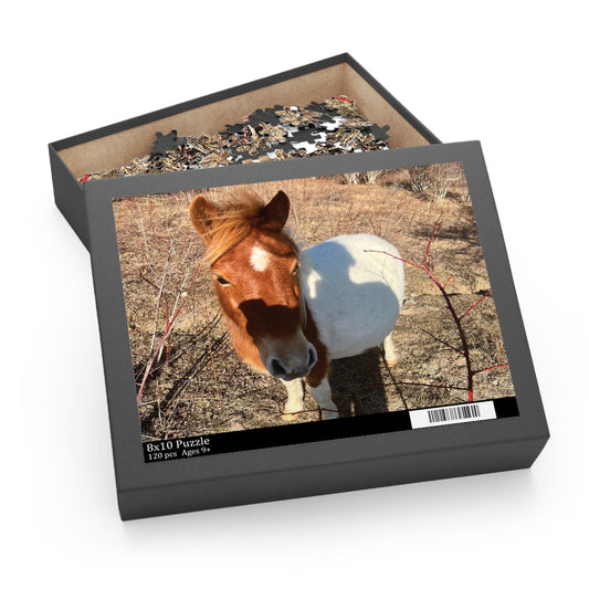 Horse Photo Puzzle - Cute Pony Jigsaw Puzzle (120/252/500 Piece)