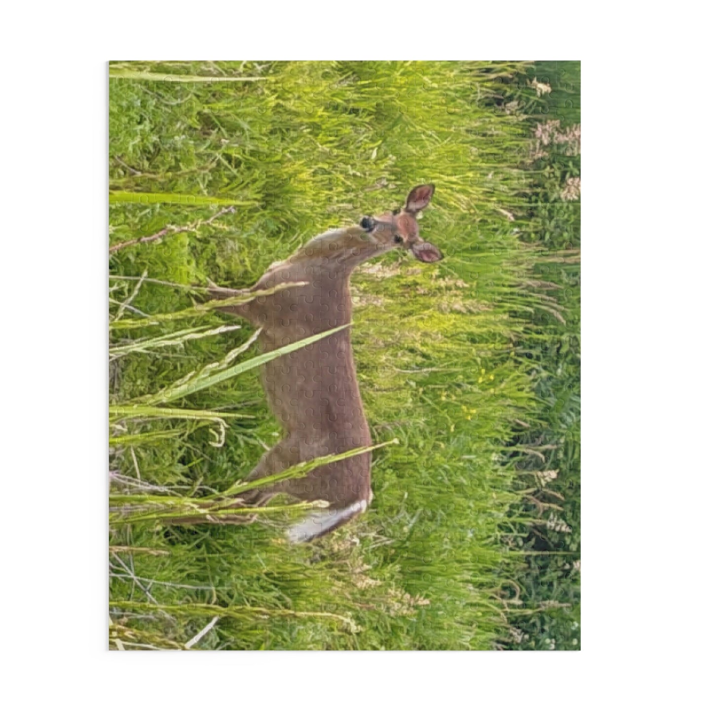 White-Tailed Deer Nature Puzzle — 120/252/500-Piece Wildlife Jigsaw