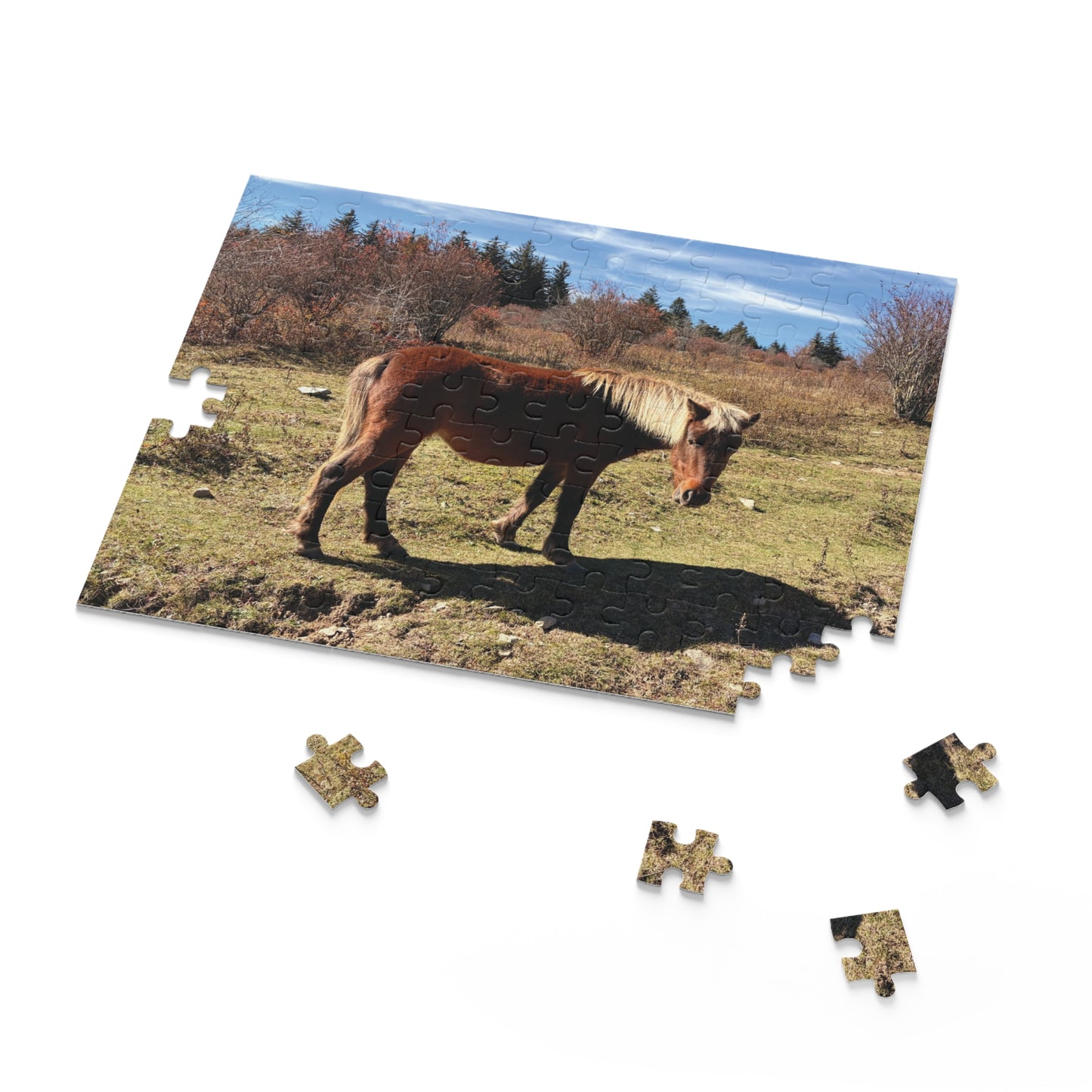 Wild Pony Meadow Puzzle — Scenic Horse Jigsaw (120/252/500 Piece)