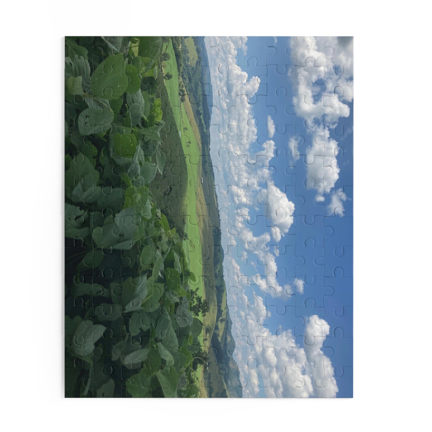 Countryside Back Roads Jigsaw Puzzle – Rolling Hills & Blue Sky (120/252/500 pcs)
