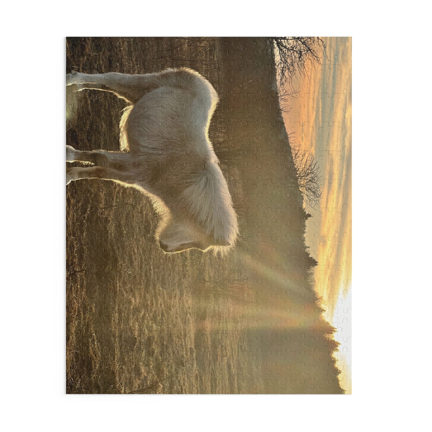 Miniature Horse Sunset Puzzle — 120/252/500-Piece Jigsaw