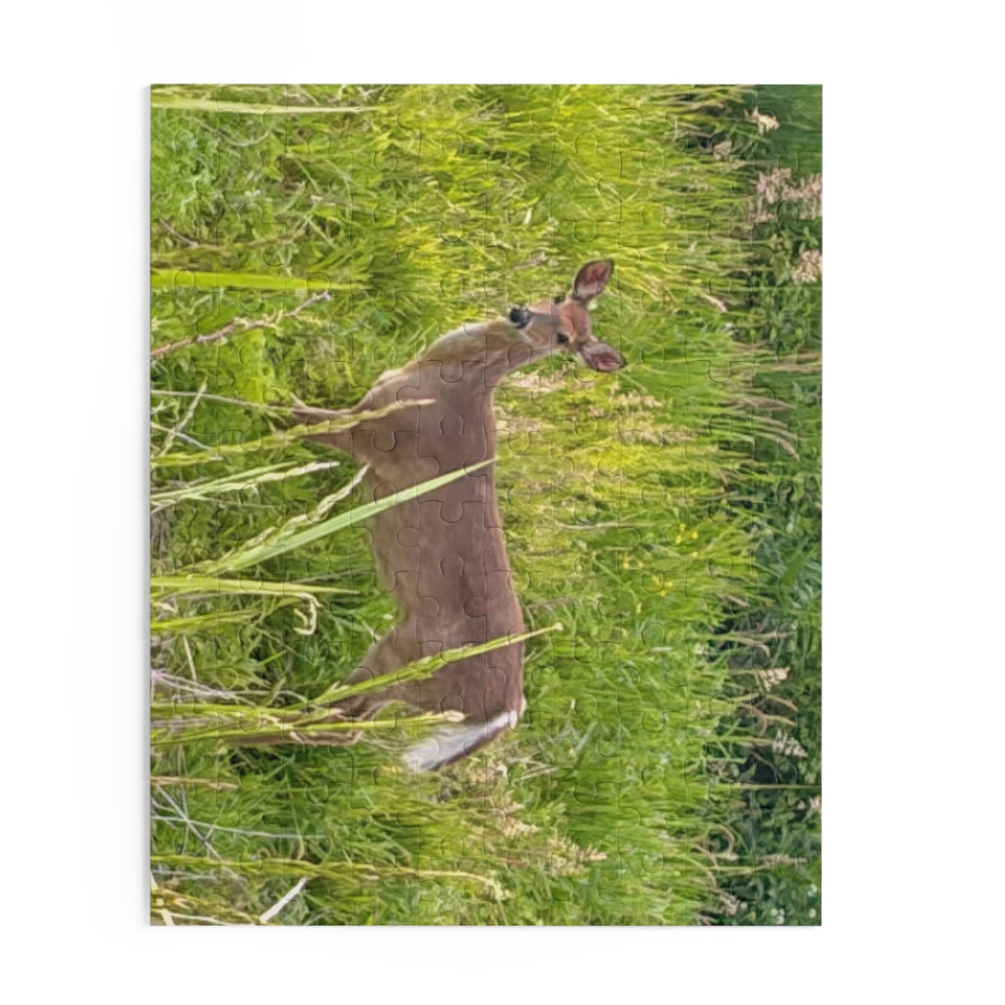 White-Tailed Deer Nature Puzzle — 120/252/500-Piece Wildlife Jigsaw