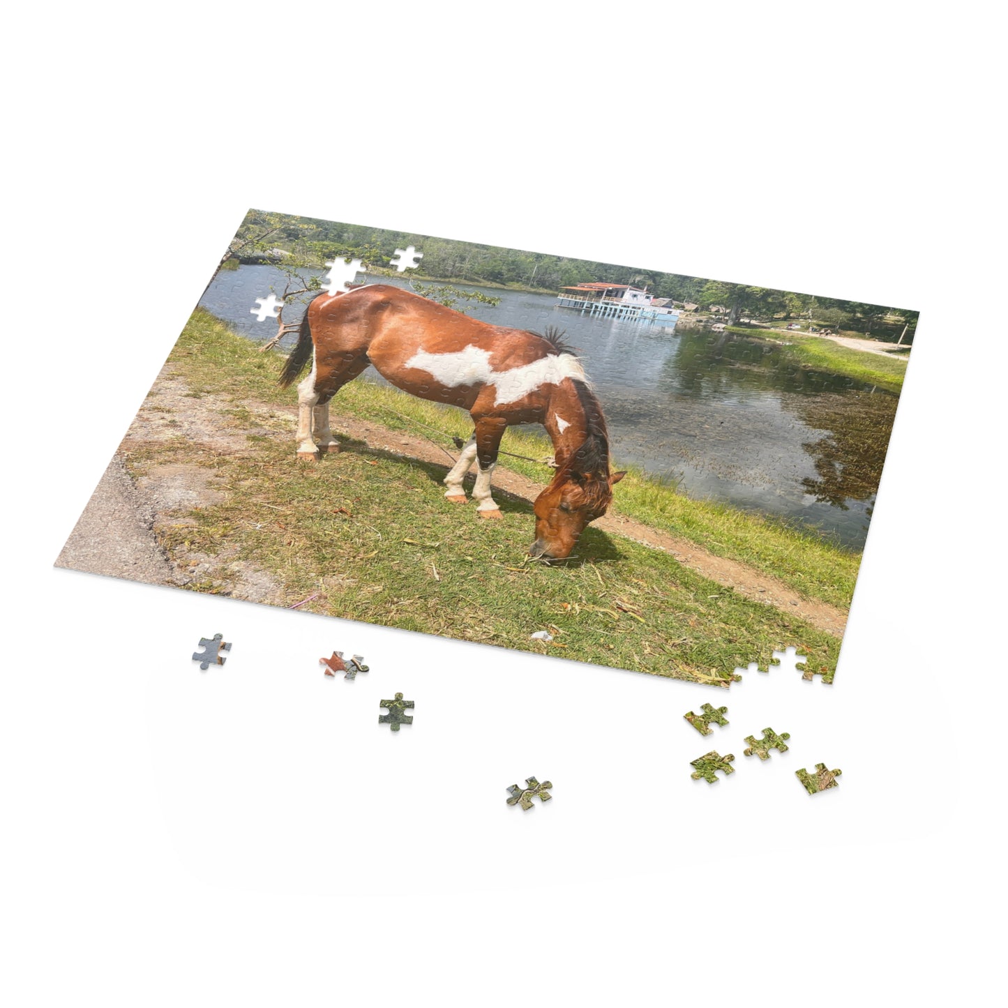 Horse by Lake Jigsaw Puzzle — Scenic Grazing Horse Puzzle (120/252/500-Piece)