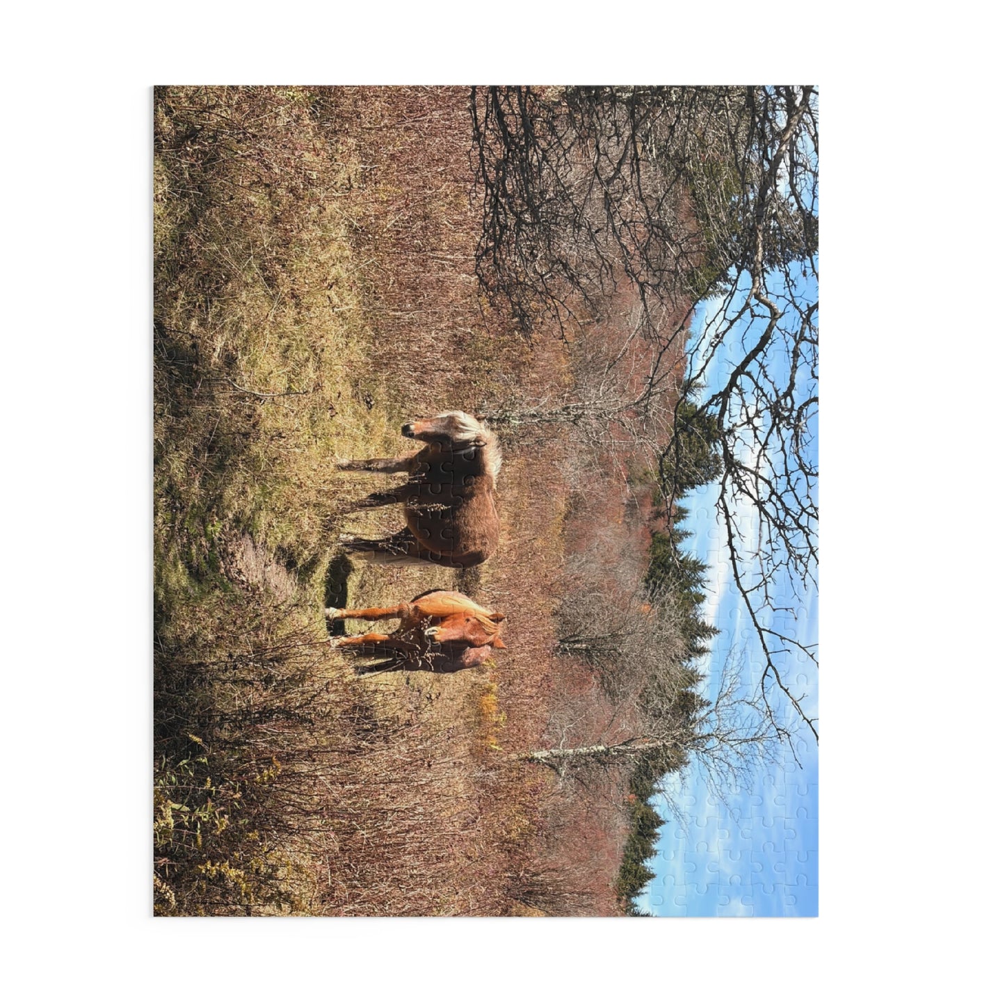 Wild Mare Meadow Puzzle — 120/252/500-Piece Scenic Horse Jigsaw