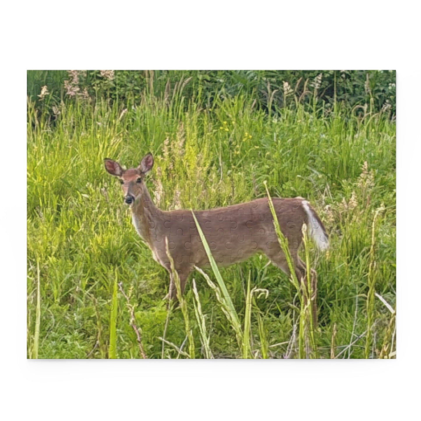 White-Tailed Deer Nature Puzzle — 120/252/500-Piece Wildlife Jigsaw