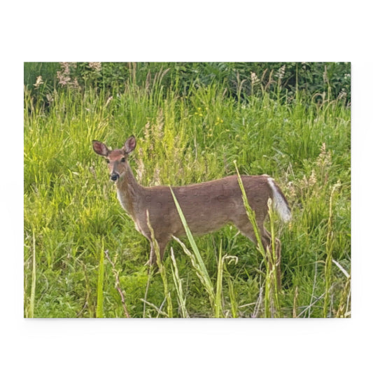 White-Tailed Deer Nature Puzzle — 120/252/500-Piece Wildlife Jigsaw