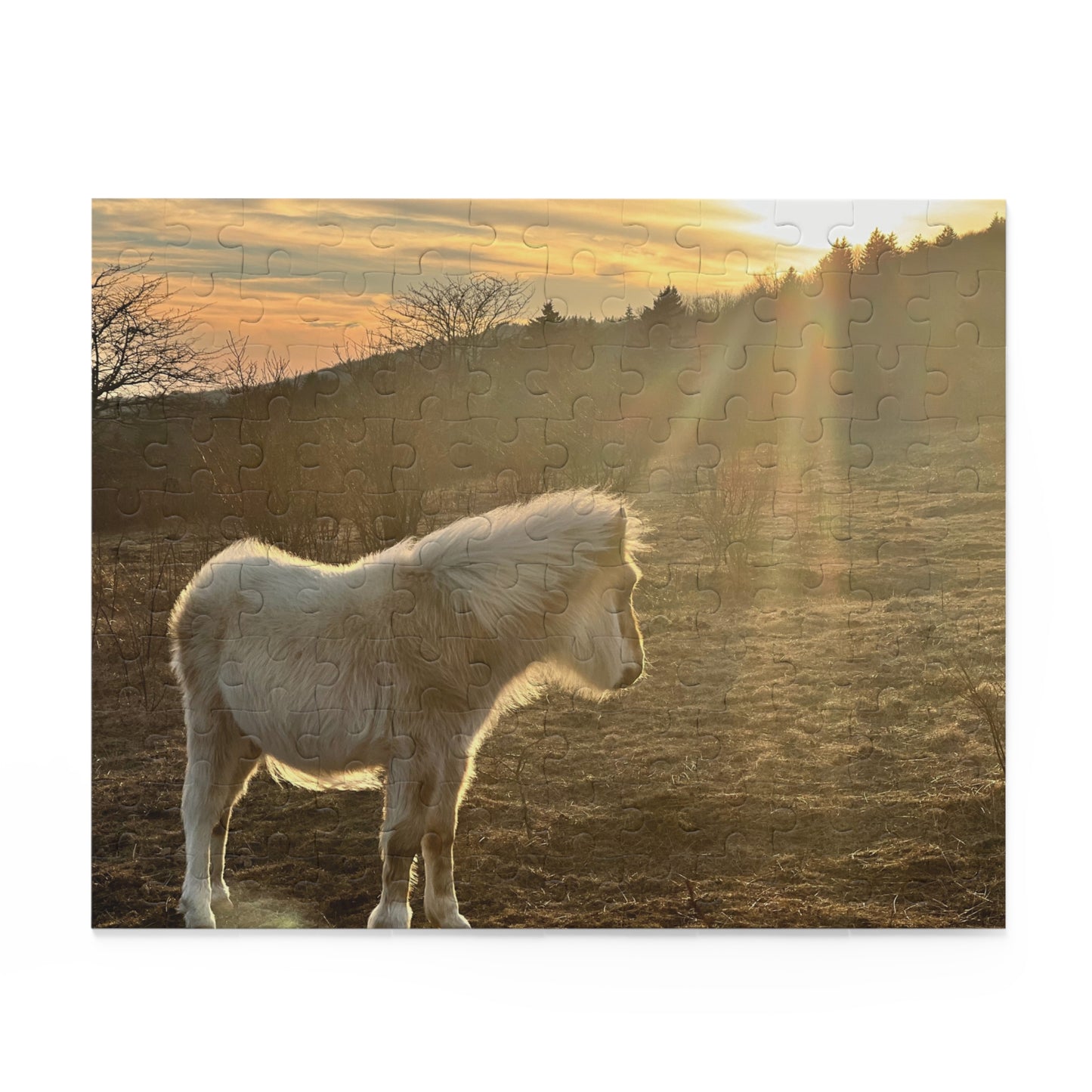 Miniature Horse Sunset Puzzle — 120/252/500-Piece Jigsaw