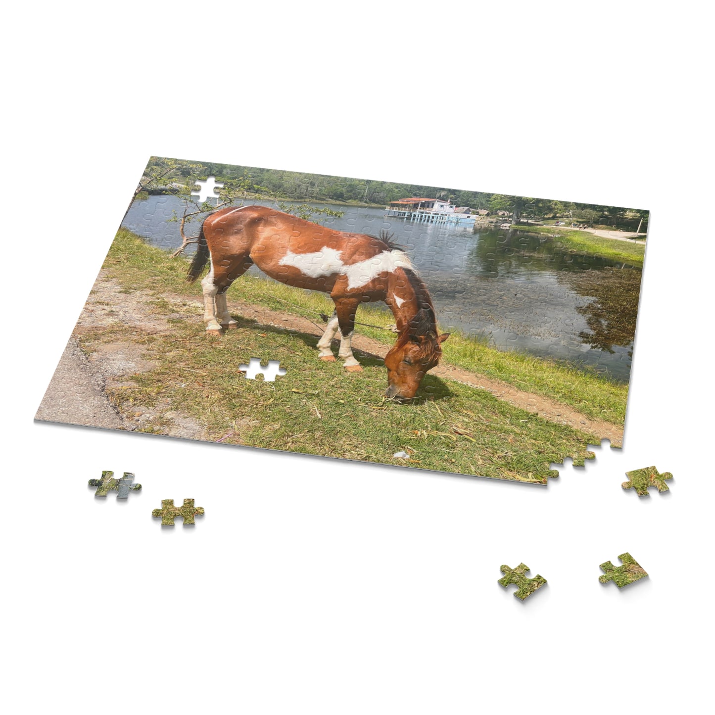 Horse by Lake Jigsaw Puzzle — Scenic Grazing Horse Puzzle (120/252/500-Piece)