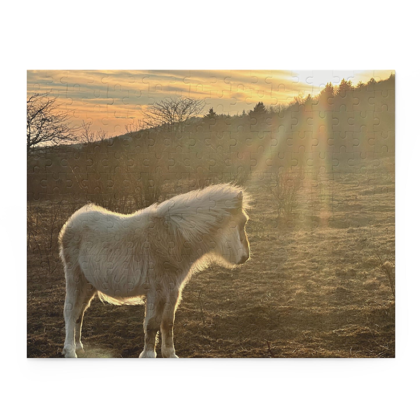 Miniature Horse Sunset Puzzle — 120/252/500-Piece Jigsaw