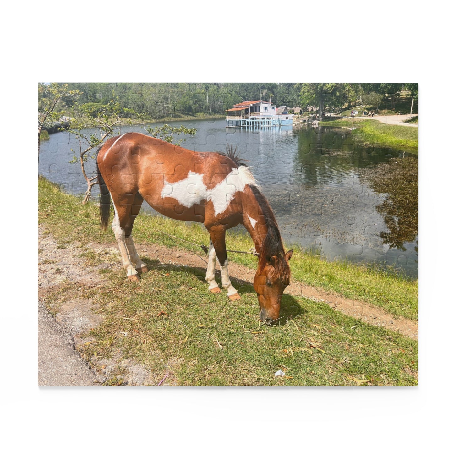 Horse by Lake Jigsaw Puzzle — Scenic Grazing Horse Puzzle (120/252/500-Piece)