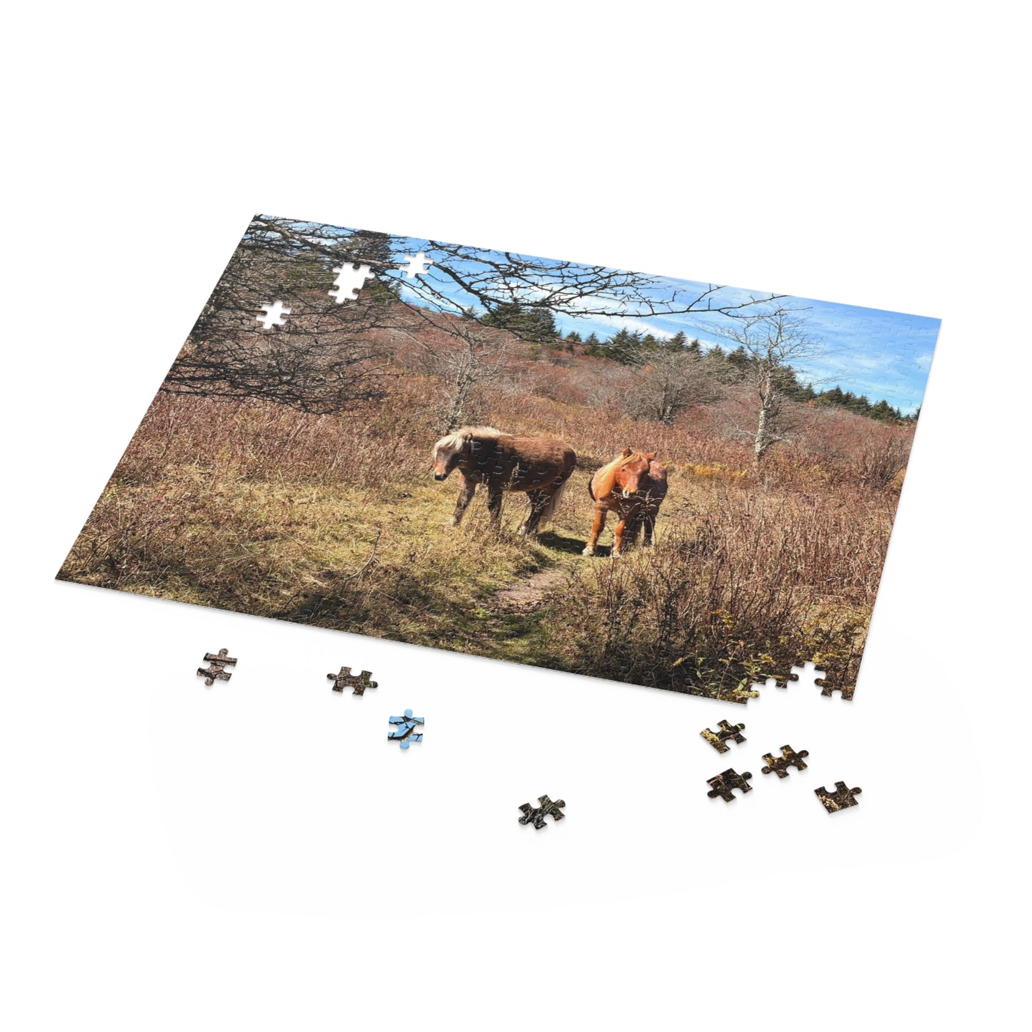 Wild Mare Meadow Puzzle — 120/252/500-Piece Scenic Horse Jigsaw