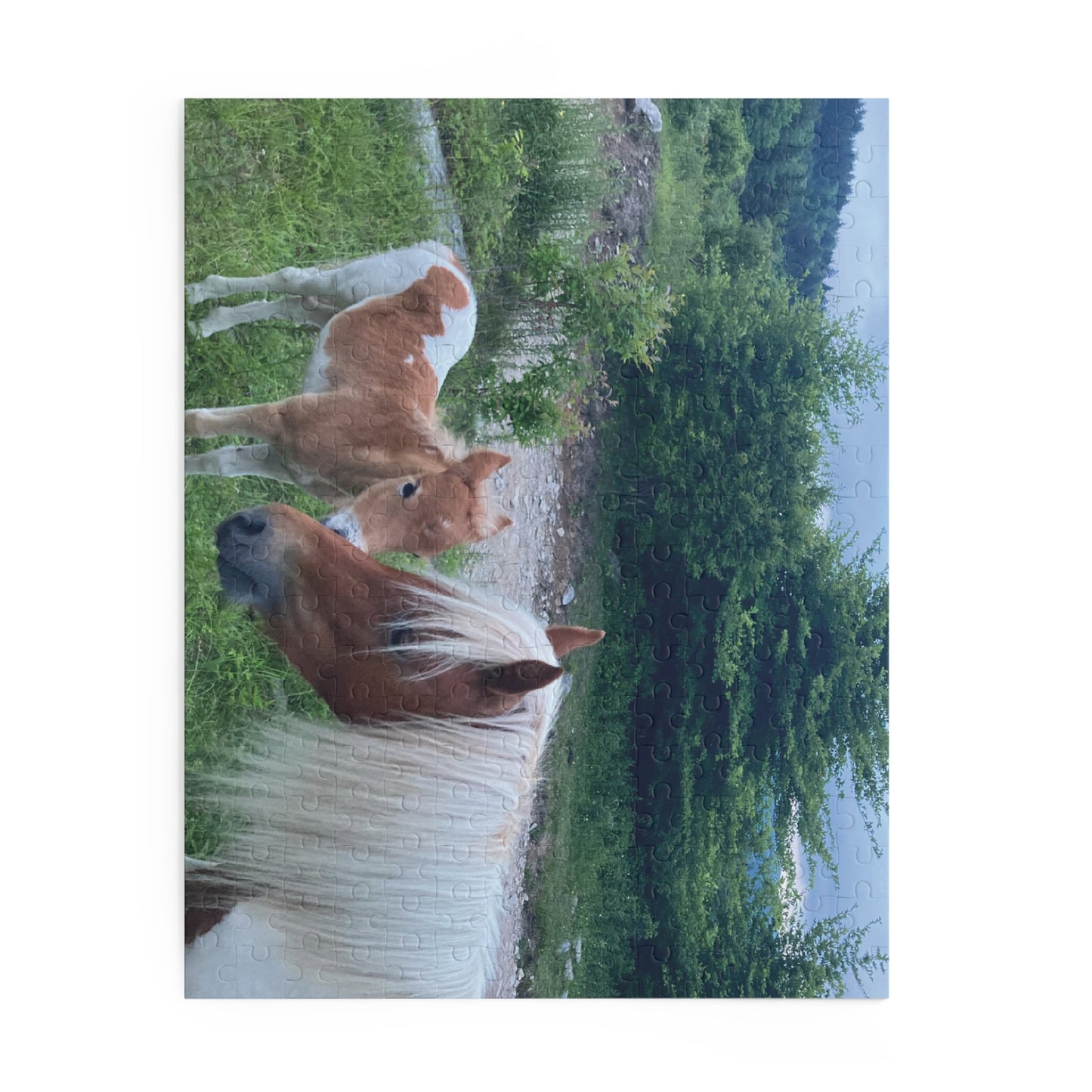 Horse & Foal Scenic Jigsaw Puzzle – 120/252/500-Piece Nature Puzzle