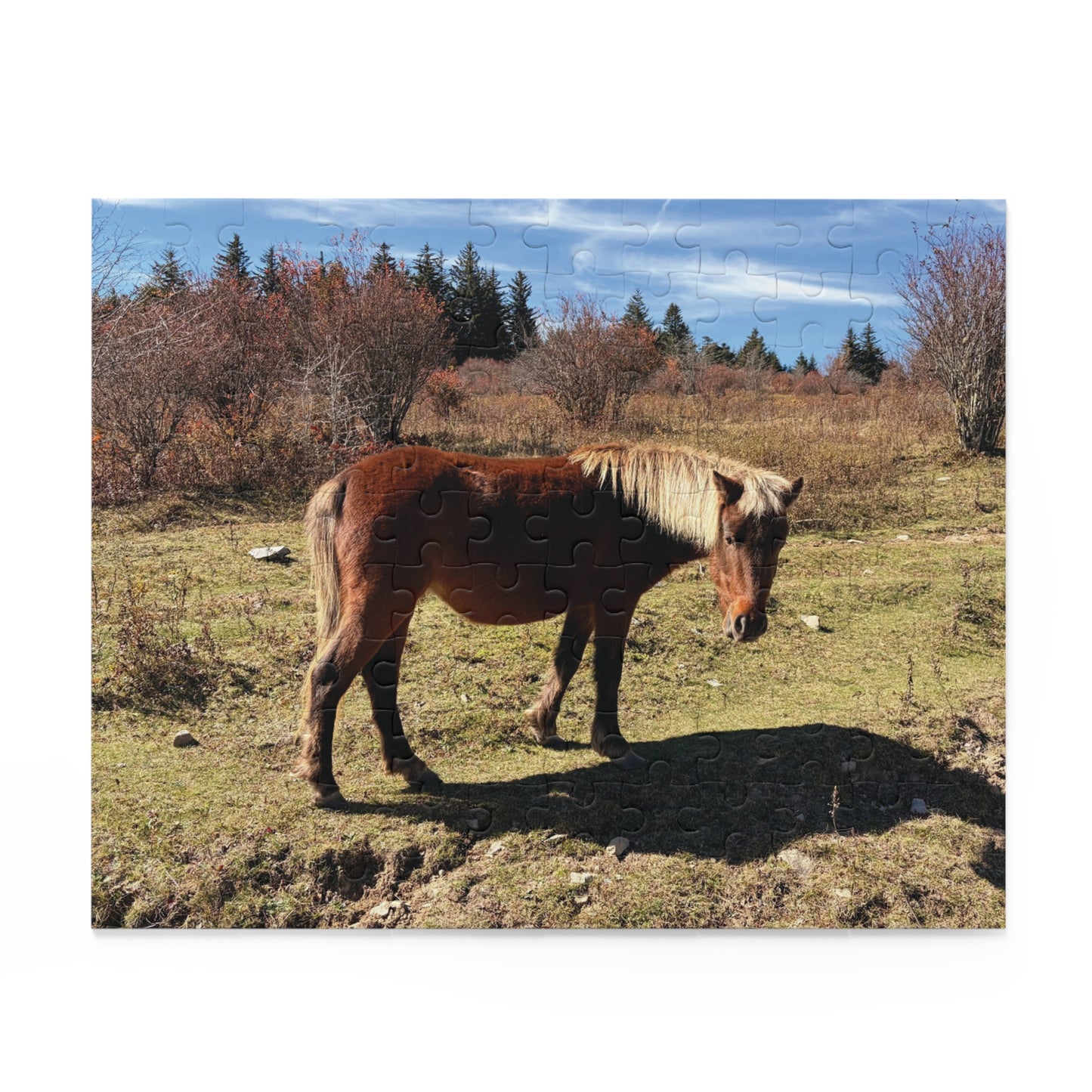Wild Pony Meadow Puzzle — Scenic Horse Jigsaw (120/252/500 Piece)