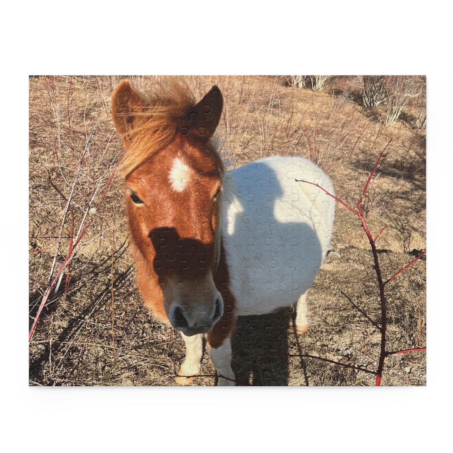 Horse Photo Puzzle - Cute Pony Jigsaw Puzzle (120/252/500 Piece)