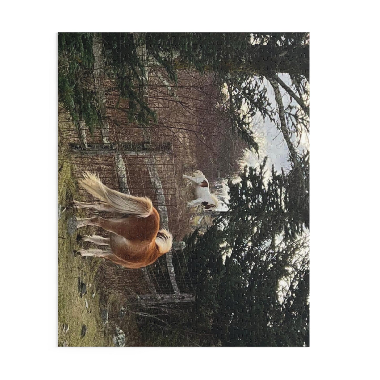 Horse Pasture Jigsaw Puzzle — Scenic Foals in Woodland (120/252/500 pc)